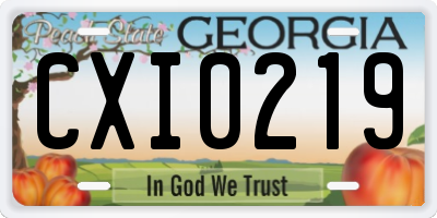 GA license plate CXI0219