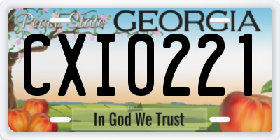 GA license plate CXI0221
