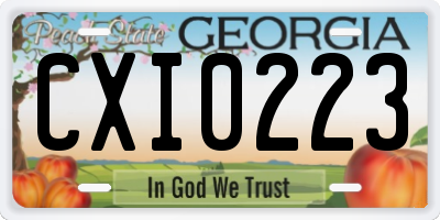 GA license plate CXI0223