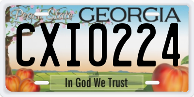 GA license plate CXI0224