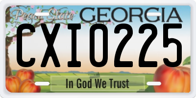 GA license plate CXI0225