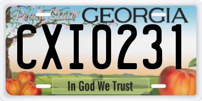GA license plate CXI0231