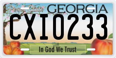 GA license plate CXI0233