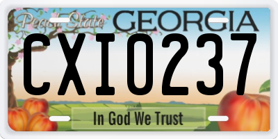 GA license plate CXI0237