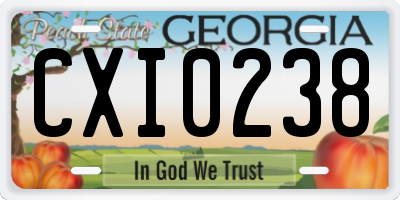 GA license plate CXI0238