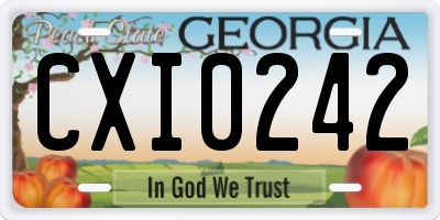 GA license plate CXI0242