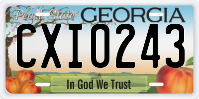 GA license plate CXI0243