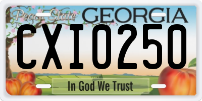 GA license plate CXI0250