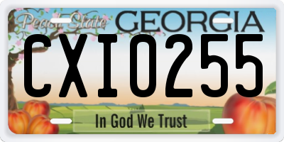 GA license plate CXI0255