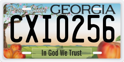 GA license plate CXI0256
