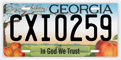 GA license plate CXI0259
