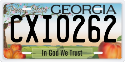 GA license plate CXI0262