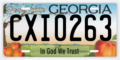 GA license plate CXI0263