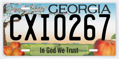 GA license plate CXI0267