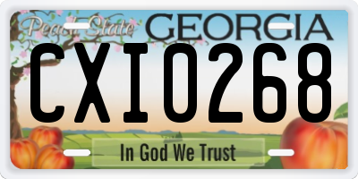GA license plate CXI0268