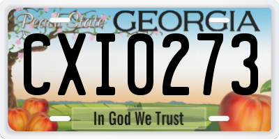 GA license plate CXI0273