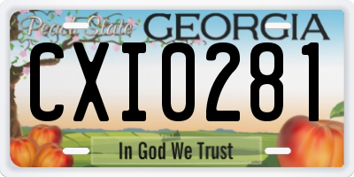 GA license plate CXI0281