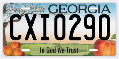 GA license plate CXI0290