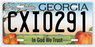 GA license plate CXI0291