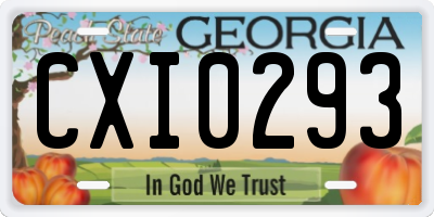 GA license plate CXI0293