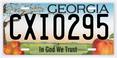 GA license plate CXI0295