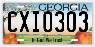 GA license plate CXI0303