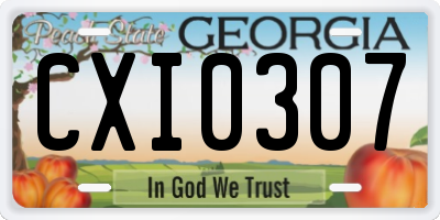 GA license plate CXI0307