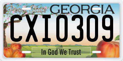 GA license plate CXI0309