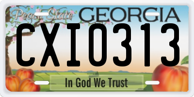 GA license plate CXI0313