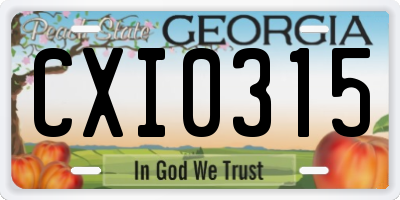 GA license plate CXI0315