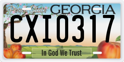 GA license plate CXI0317