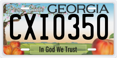 GA license plate CXI0350