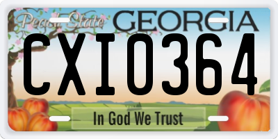 GA license plate CXI0364