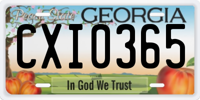 GA license plate CXI0365