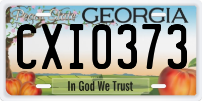 GA license plate CXI0373