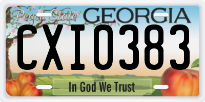 GA license plate CXI0383