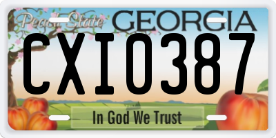 GA license plate CXI0387