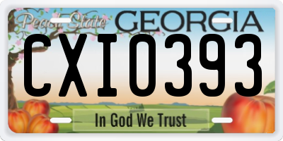 GA license plate CXI0393