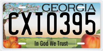 GA license plate CXI0395
