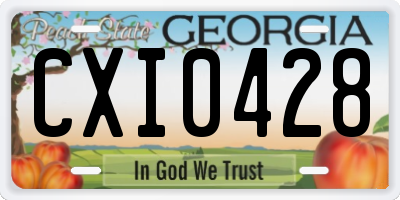 GA license plate CXI0428