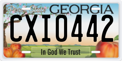 GA license plate CXI0442