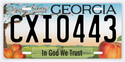 GA license plate CXI0443