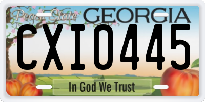 GA license plate CXI0445