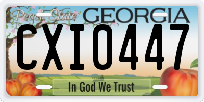 GA license plate CXI0447