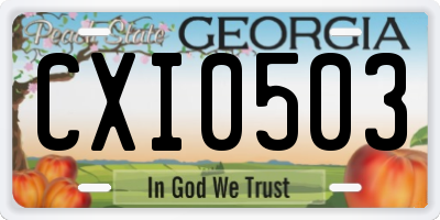 GA license plate CXI0503