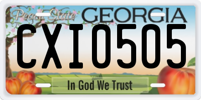 GA license plate CXI0505