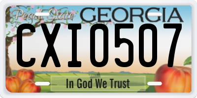 GA license plate CXI0507