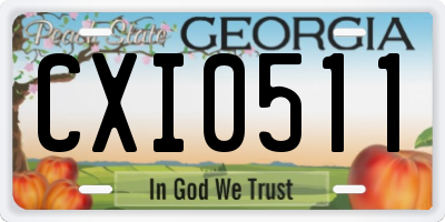 GA license plate CXI0511
