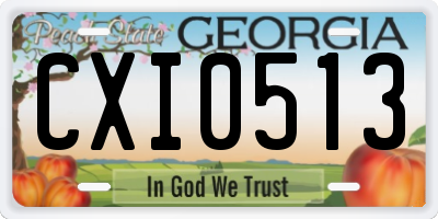 GA license plate CXI0513