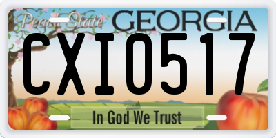GA license plate CXI0517